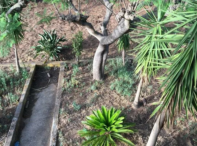 Augustea Daire Alcamo